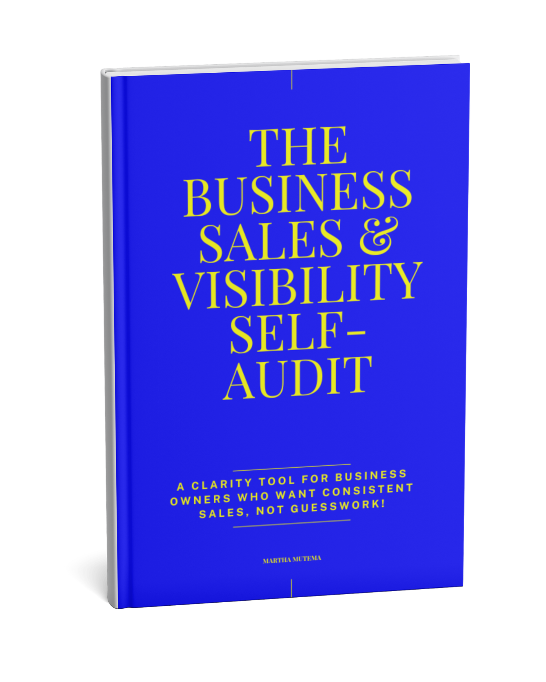 BUSINESS SALES AND VISIBILITY SELF AUDIT 